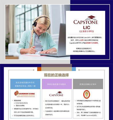 Online project in USA