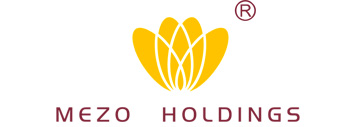 Xinmeizhong Holdings